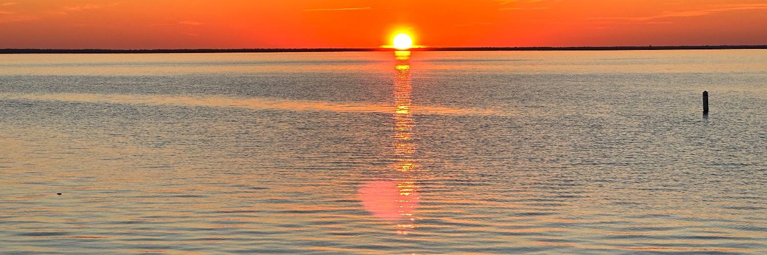 lisabone22's profile banner image