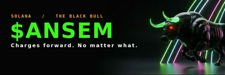 _BlackBullSol's profile banner image