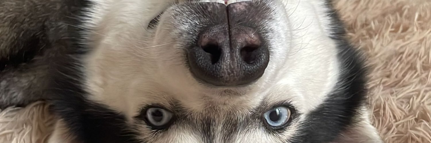 matosfillipe's profile banner image
