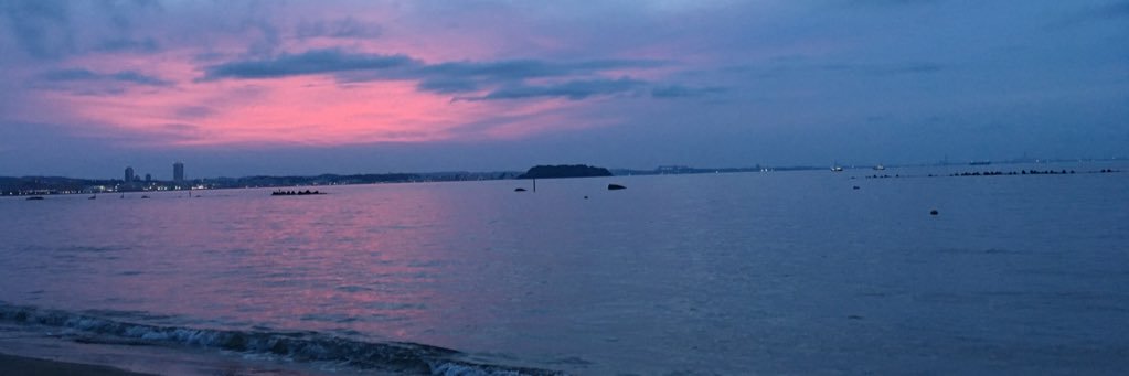 okojo529dolphin's profile banner image
