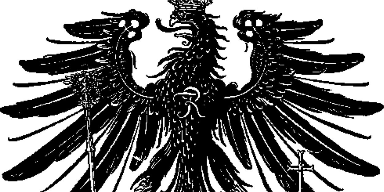 [ SEE BIO ] banner