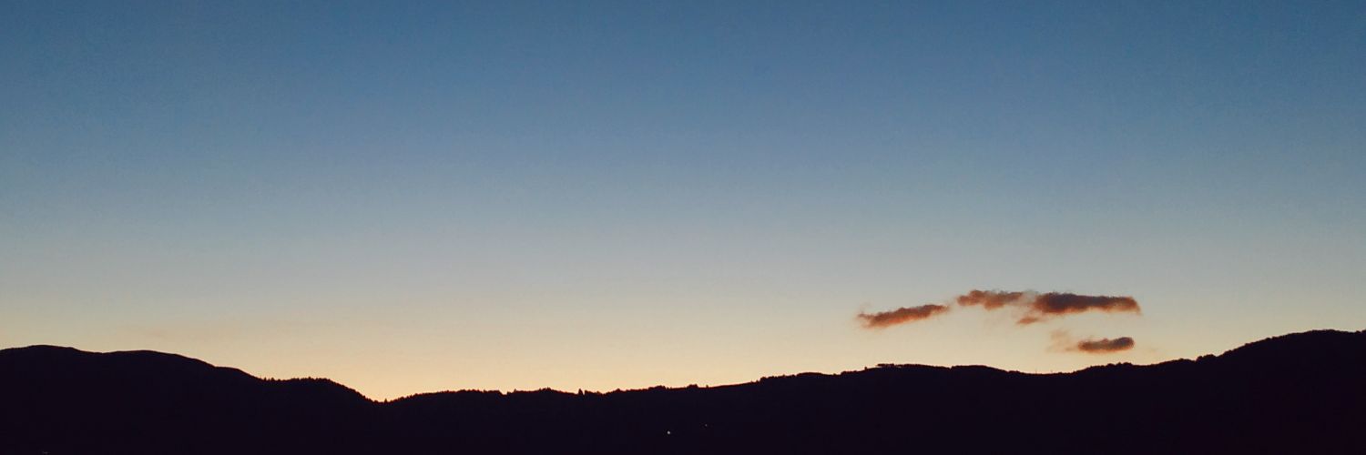 sarita_cs's profile banner image
