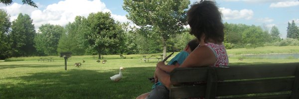 LisaVigg1 Profile Banner