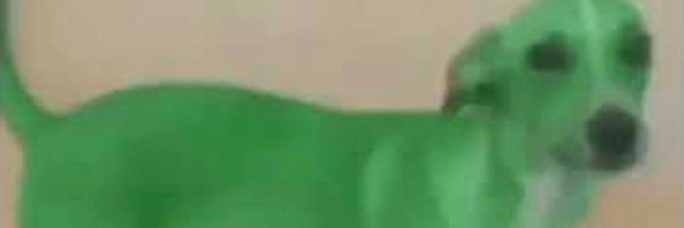 Leo banner
