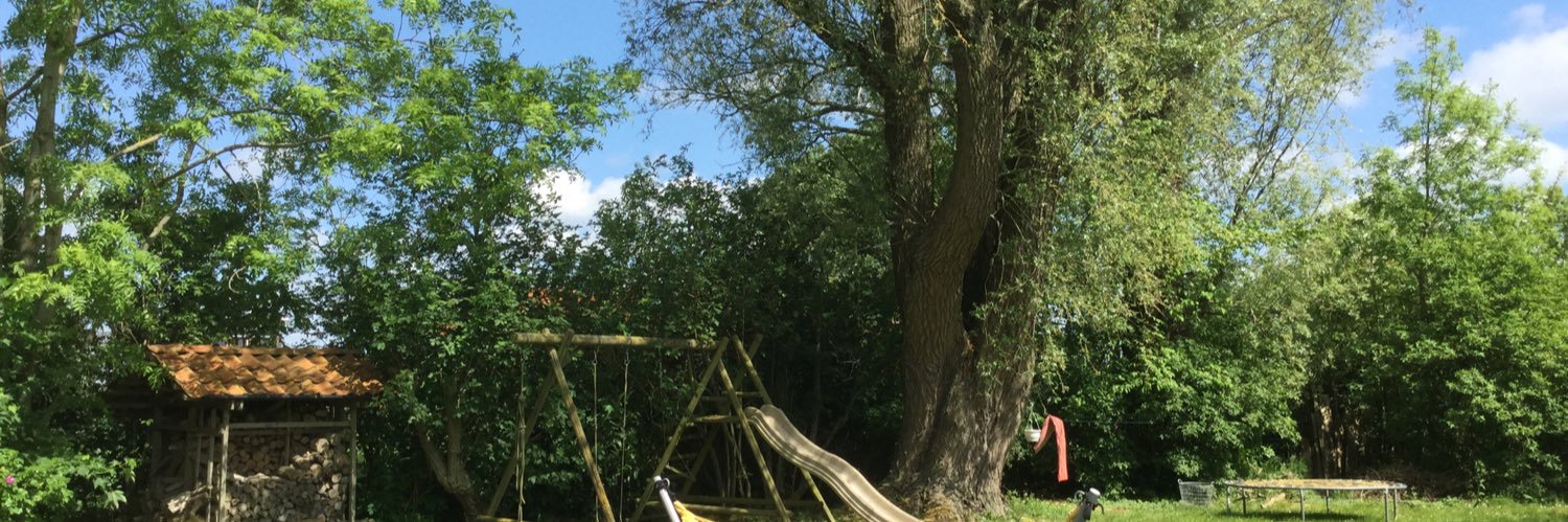 Froukje de Jonge banner