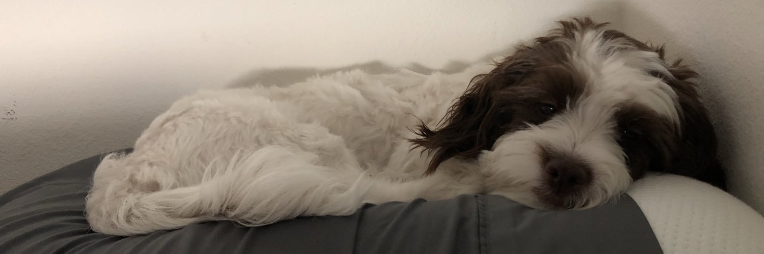 Vick_Nasquez's profile banner image