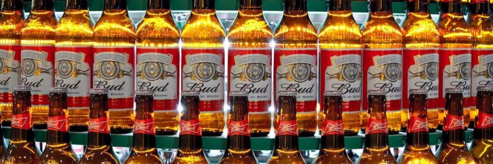 makeamericabudagain banner