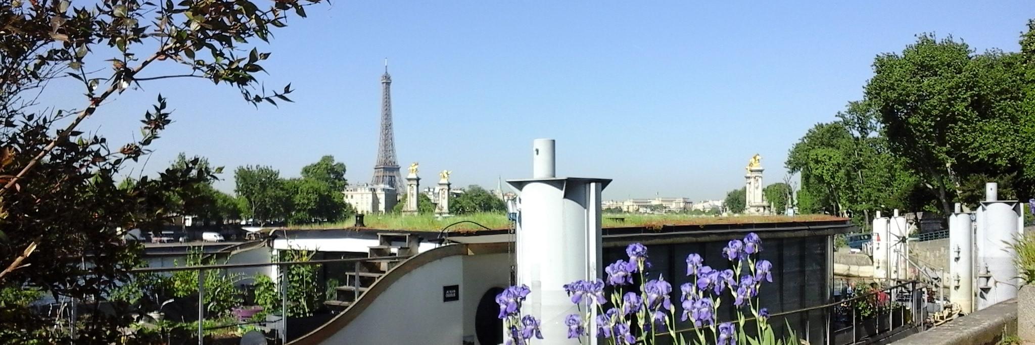 Gérard Feldzer banner