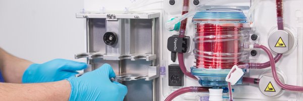 organ_ox Profile Banner