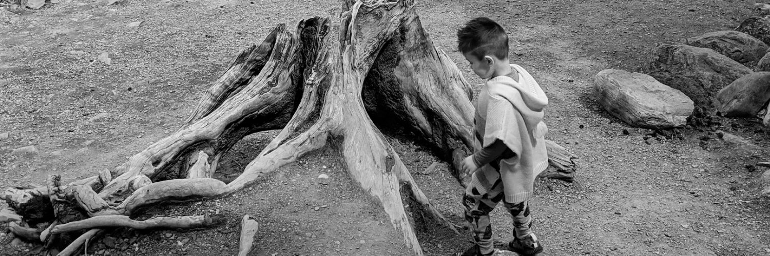 Dr. Brydon Tim Wang banner