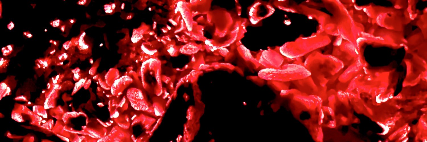 𝕔𝕠𝕦𝕡⚰️🔜BlizzCon 2026 banner