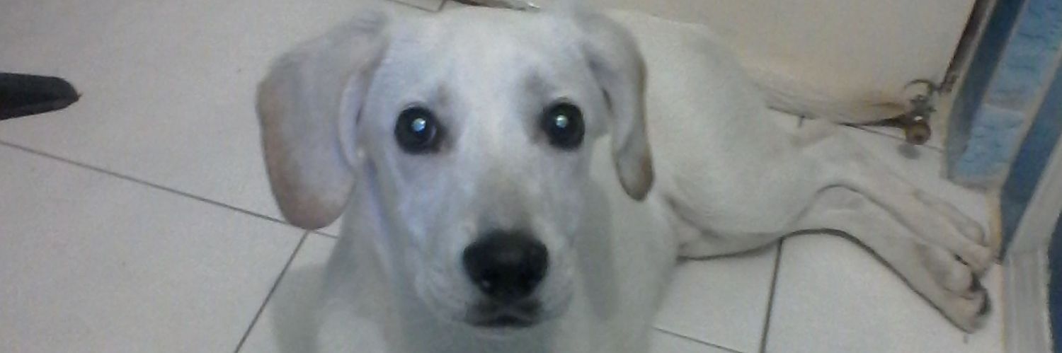 Antonioesba's profile banner image