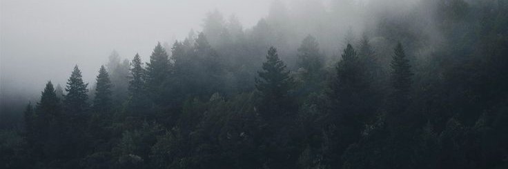 счастливчик banner
