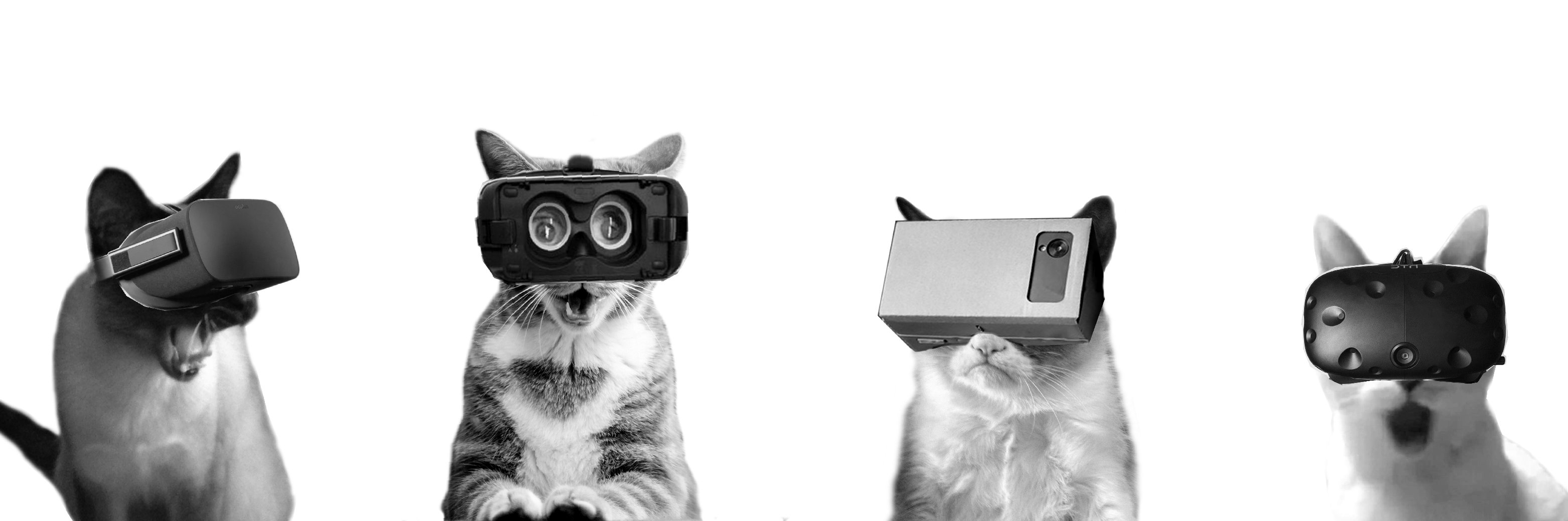 Farina Hamann banner