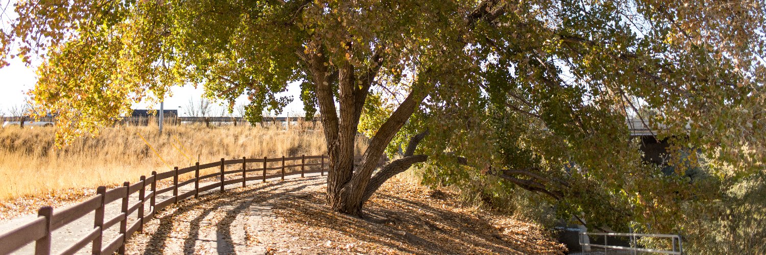 ellen_moffatt's profile banner image