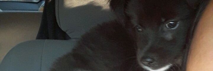 sofia_fernandz's profile banner image