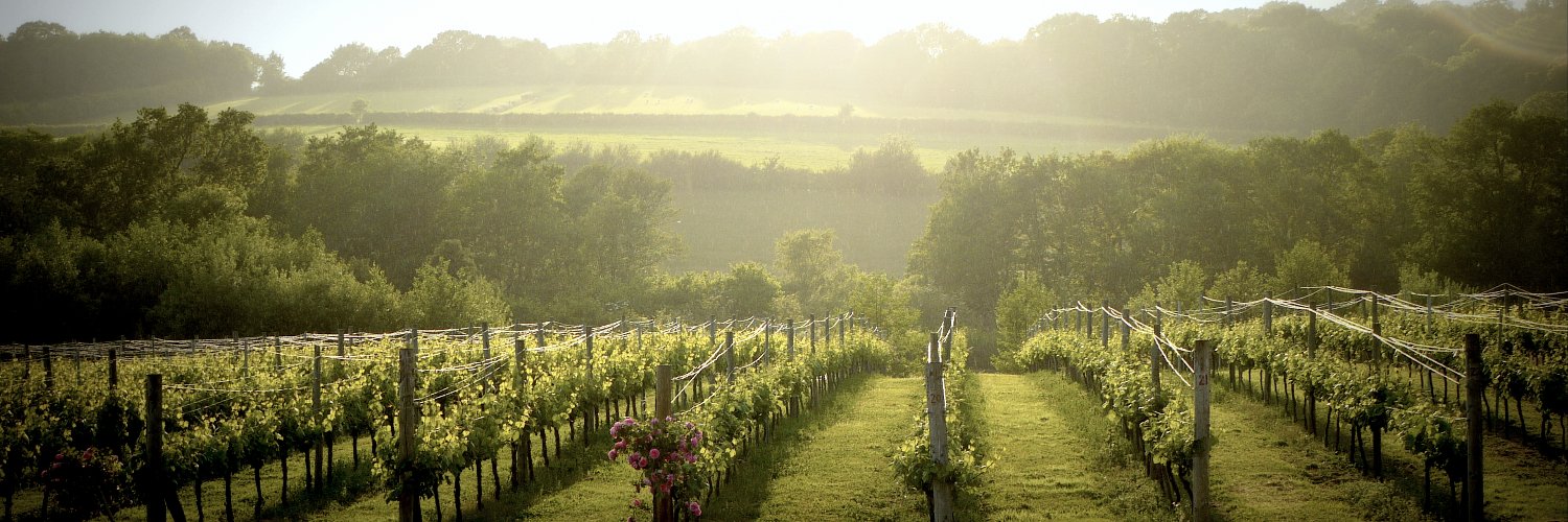 BluebellWines's profile banner image