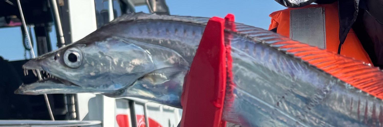 nikumarosama's profile banner image