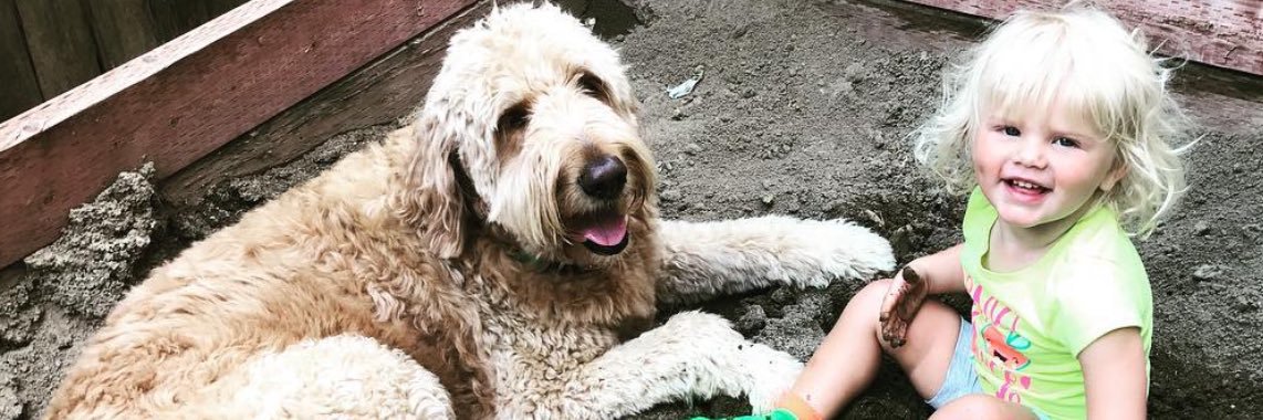 Christiana Hilton banner