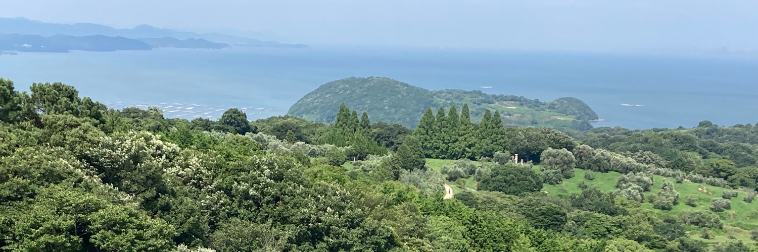 タナボタばんざい banner