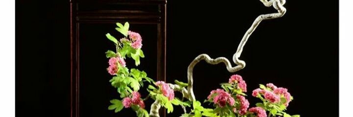 nining_sutisna's profile banner image