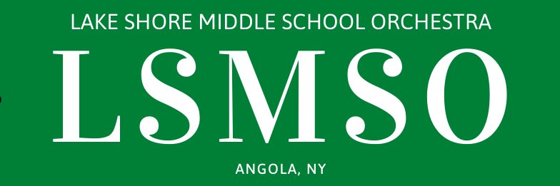 Lake Shore MS Orch banner