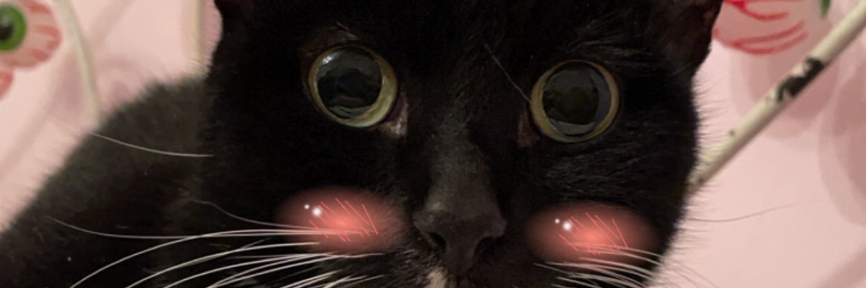 Gator_Gerhardt's profile banner image