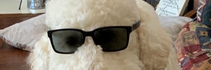 RKRowley's profile banner image
