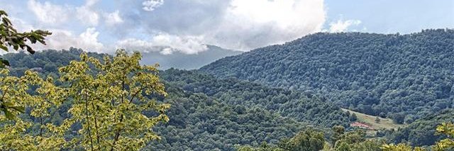 ErdEdge's profile banner image