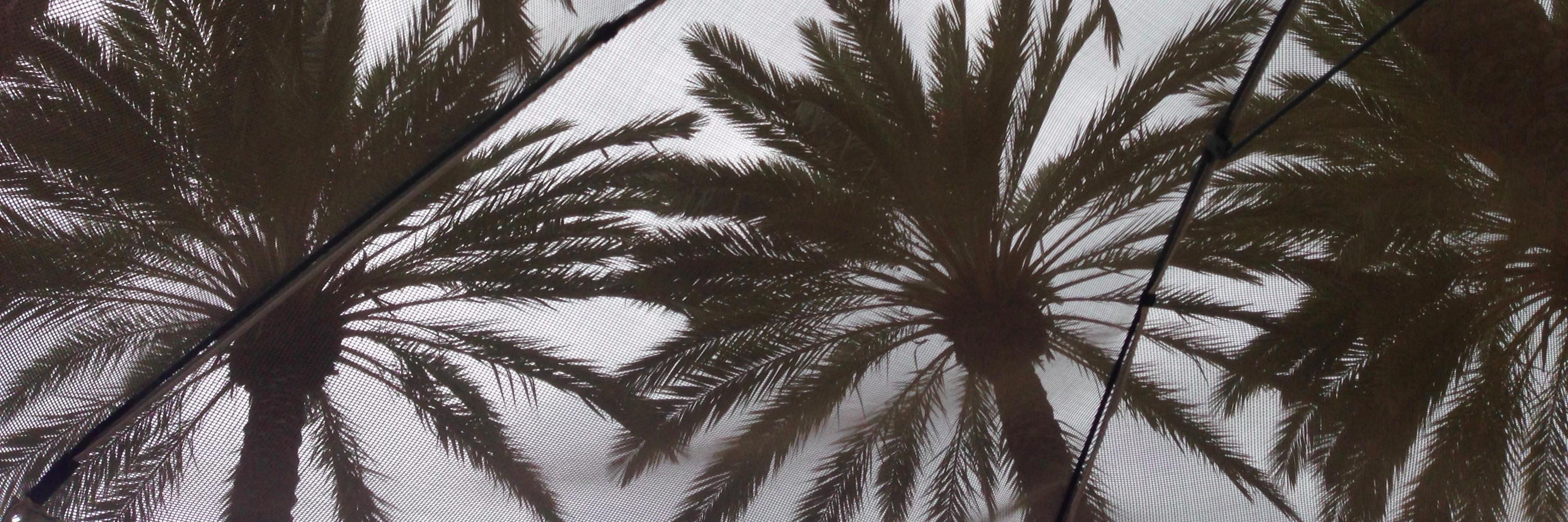 Angela DeaMude banner