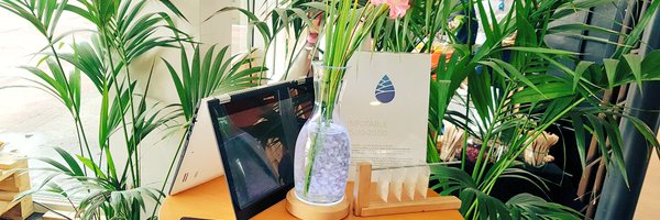 solidwatered Profile Banner