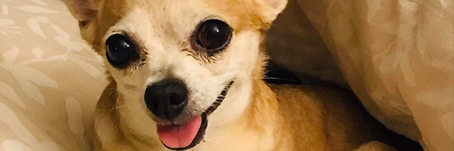 rv_arely's profile banner image