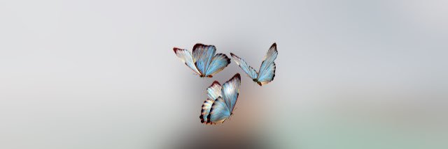 Perezechales's profile banner image