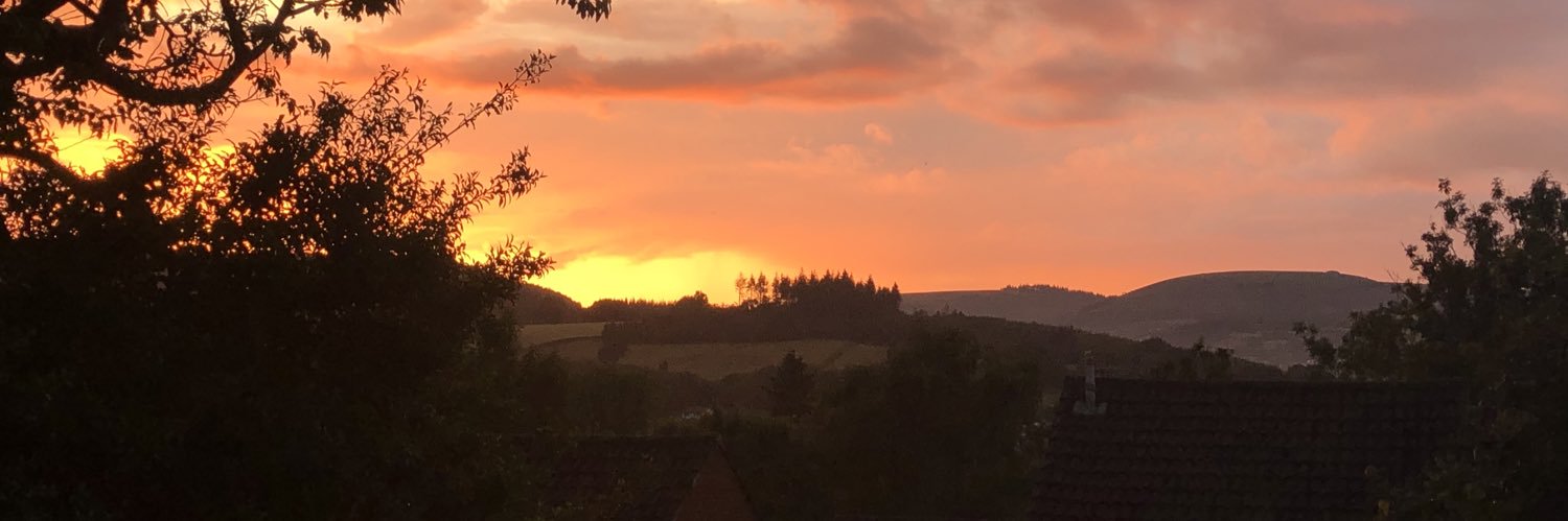 EmmaLDickinson's profile banner image