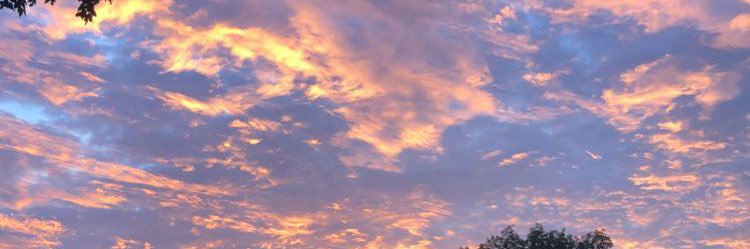 autumnwrightxx's profile banner image