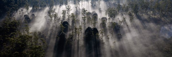 mamuu00 Profile Banner