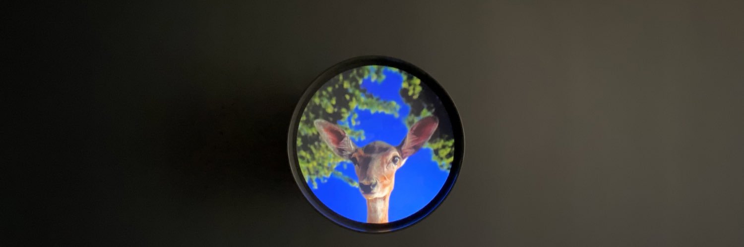 P E A C E 🇦🇷 banner