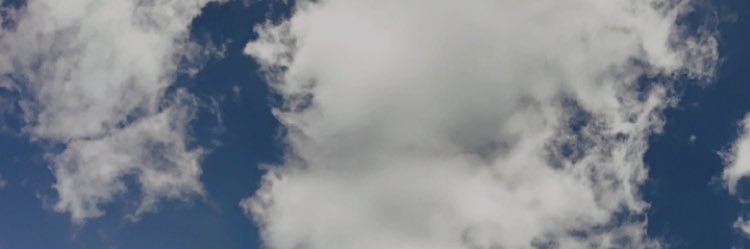 HannahWillard4's profile banner image