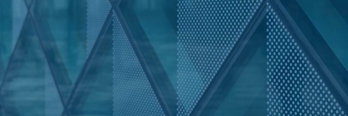 Blue Future Partners banner