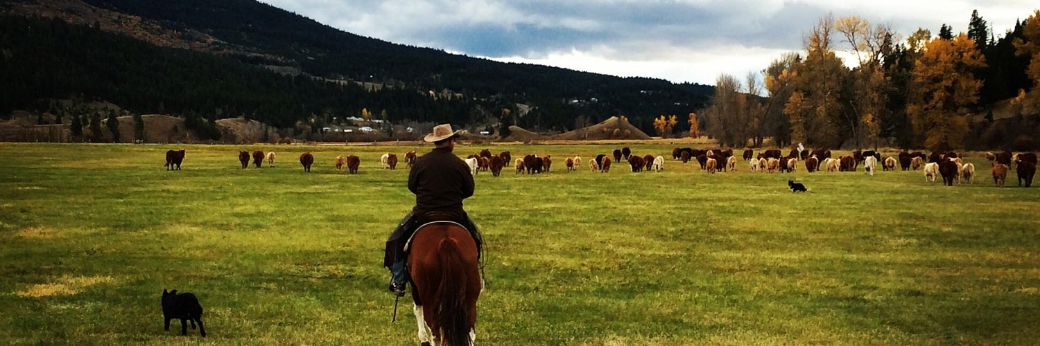 CacheCreekBeef's profile banner image