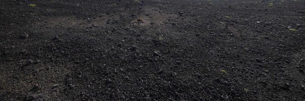 indojun21 Profile Banner