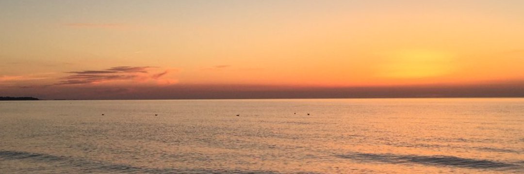 ezaofficial_'s profile banner image