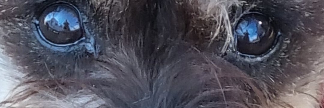 graemegoode's profile banner image