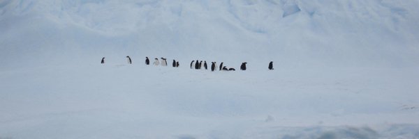 DrMichellePower Profile Banner