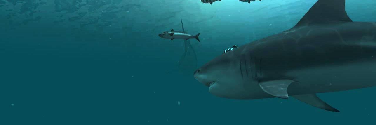SharkTankBot banner