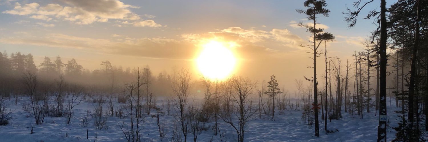 Läskochthinner banner