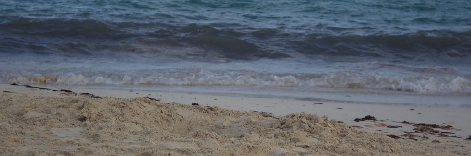jeran_gerhardt's profile banner image