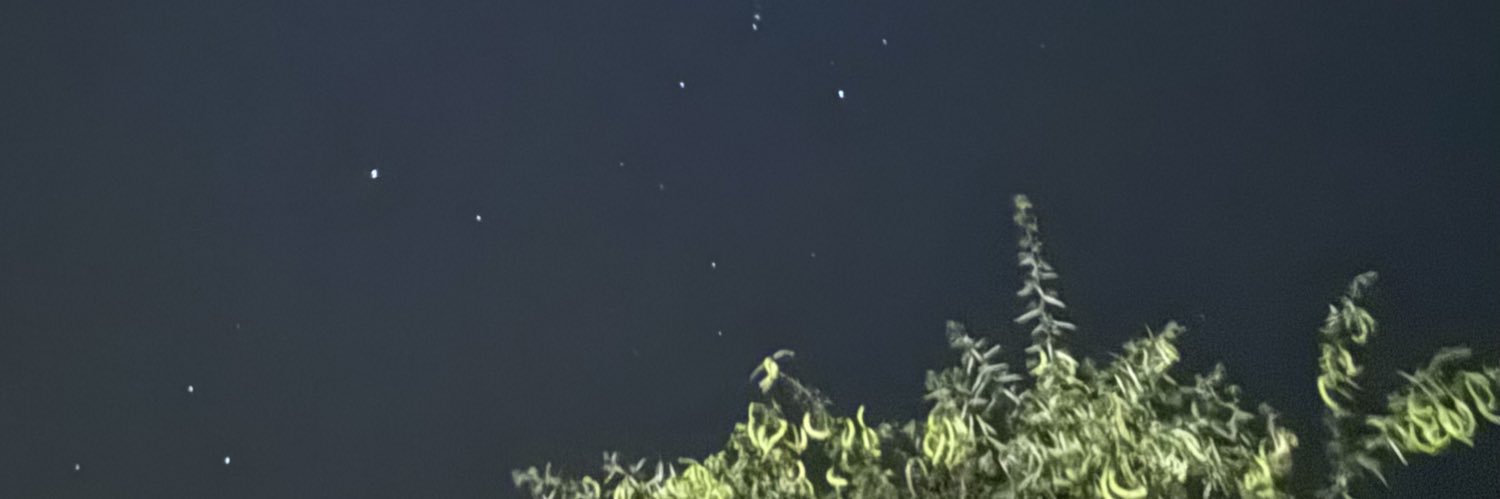 مدى الرحيلي banner