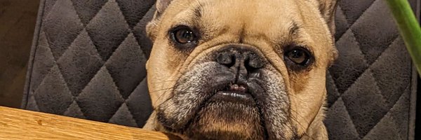 Rhodseyboy Profile Banner