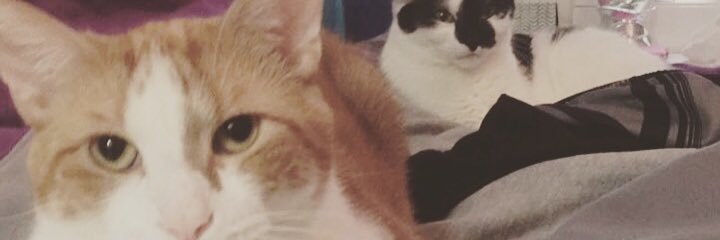 rustc1895's profile banner image
